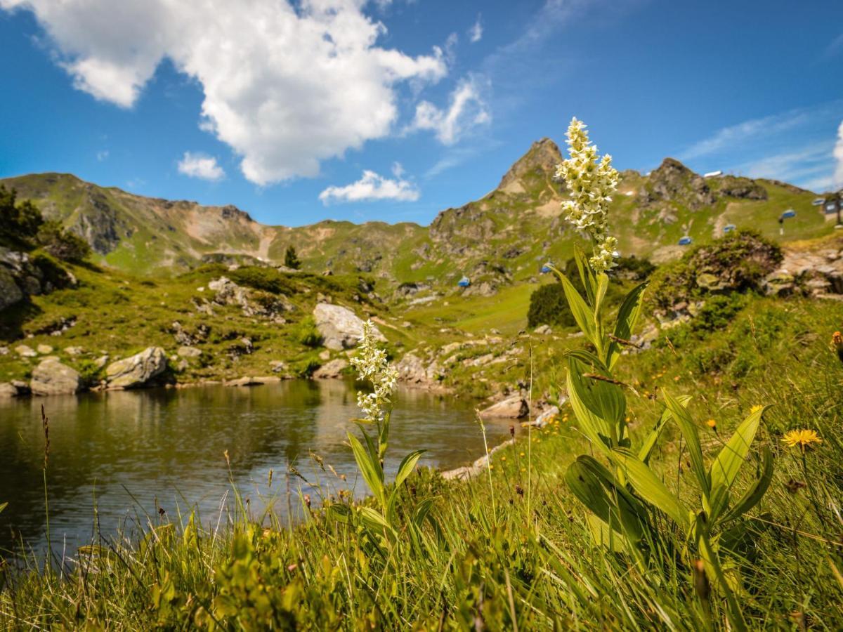 Holiday Home Steindlwald By Interhome Untertauern Esterno foto